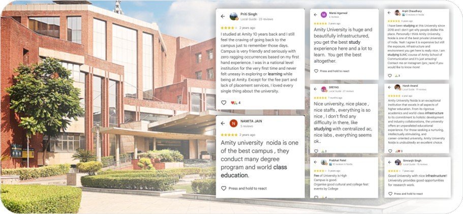 AMITY ONLINE REVIEWS