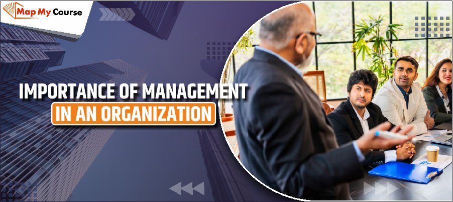 Importance of Management in an Organization in 2025