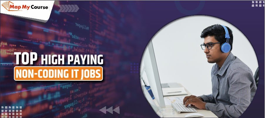 Top 12 High-Paying Non-Coding IT Jobs: Get Career Opportunities in IT Sector in 2025
